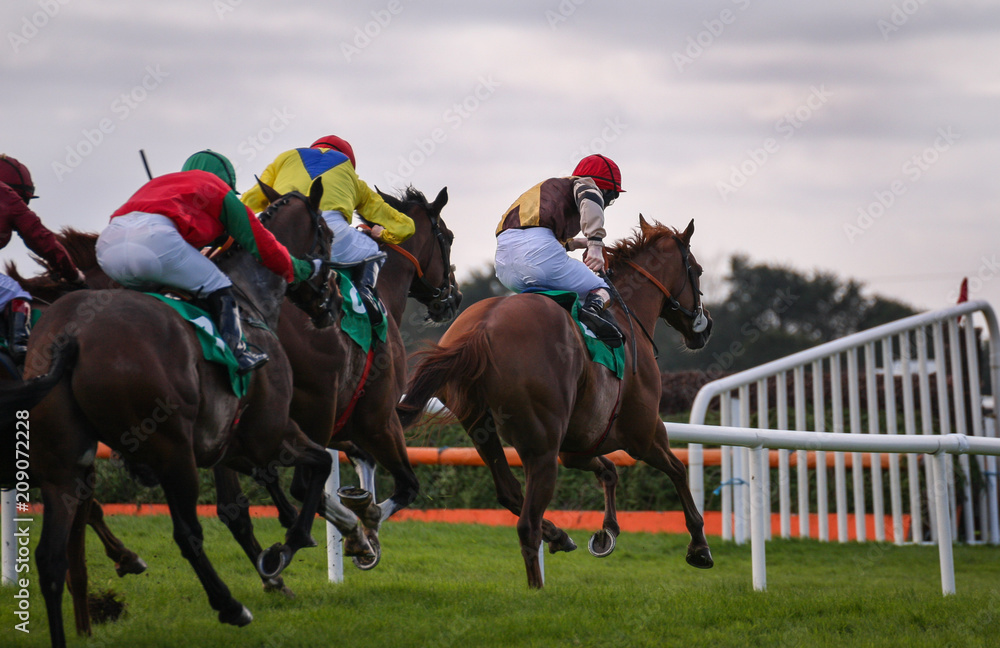 View from behind of galloping race horses and jockeys racing down the track View from behind of galloping race horses and jockeys racing down the track