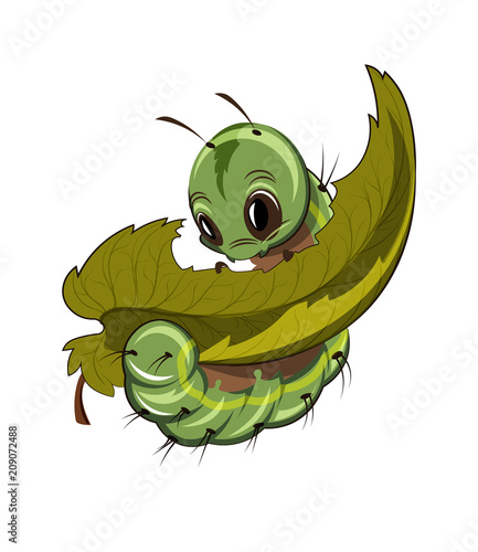Caterpillar eating a leaf Vector. Cartoon character illustrations