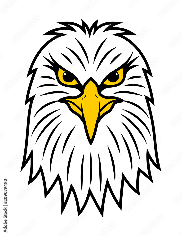 Obraz premium American eagle head front view