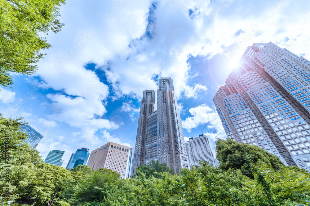 Obraz premium 新緑と新宿高層ビル群