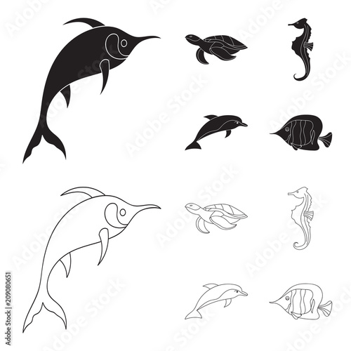 Merlin, turtle and other species.Sea animals set collection icons in black,outline style vector symbol stock illustration web.