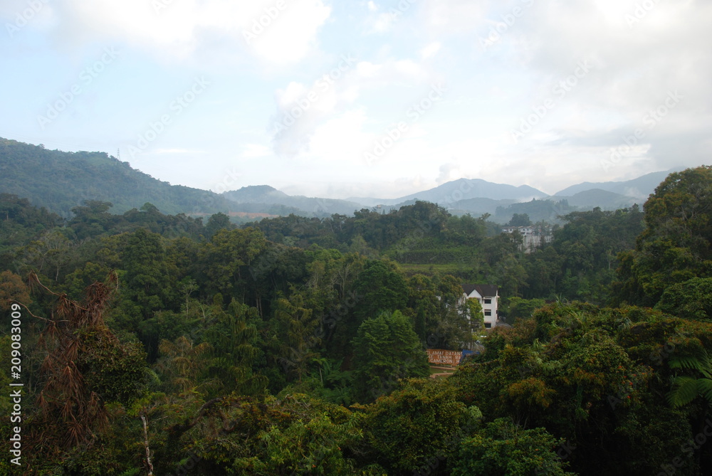 View of jungle and mountain in Cameron Highlands, Malaysia