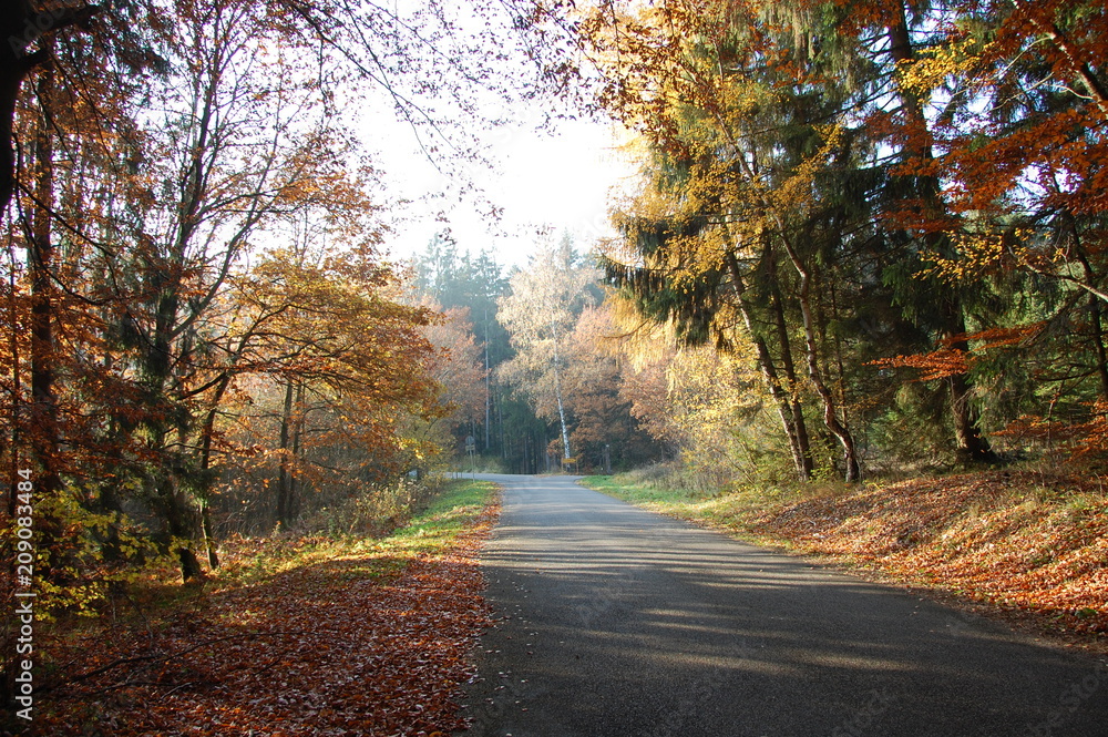 Herbstimpressionen - Waldromantik Herbstimpressionen - Waldromantik