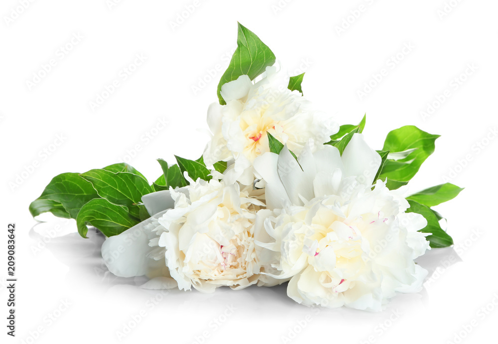 Beautiful peony flowers on white background Beautiful peony flowers on white background