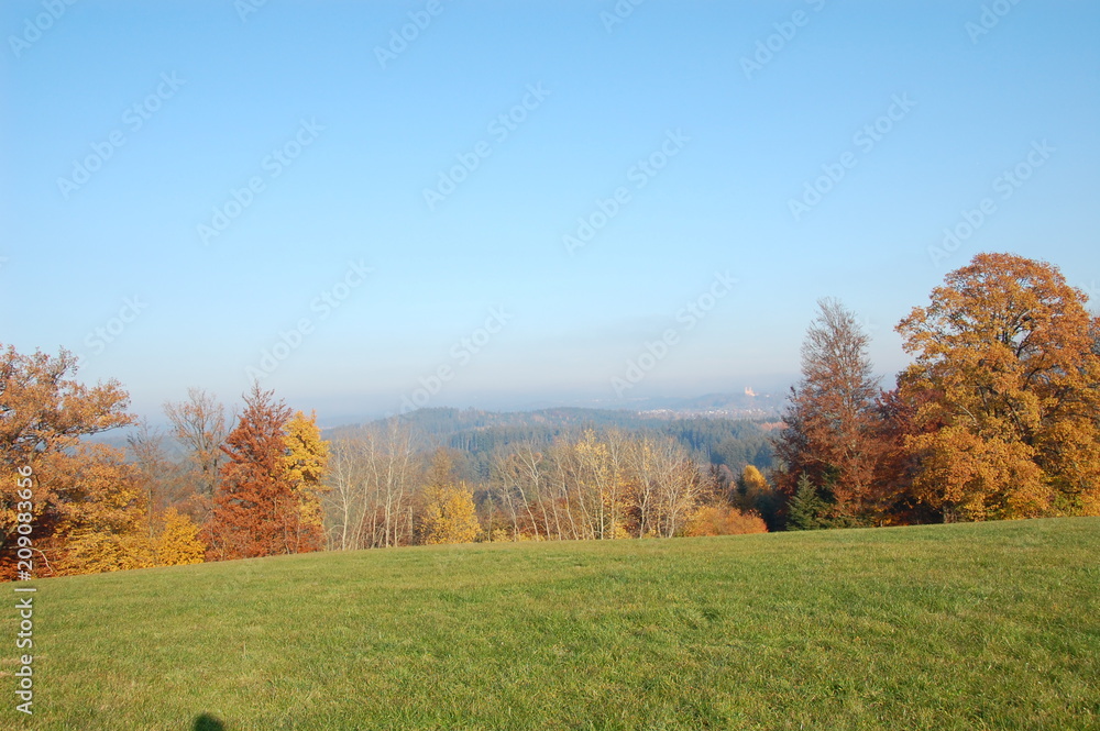 Herbst in Ellwangen, hier: Hinterlengenberg