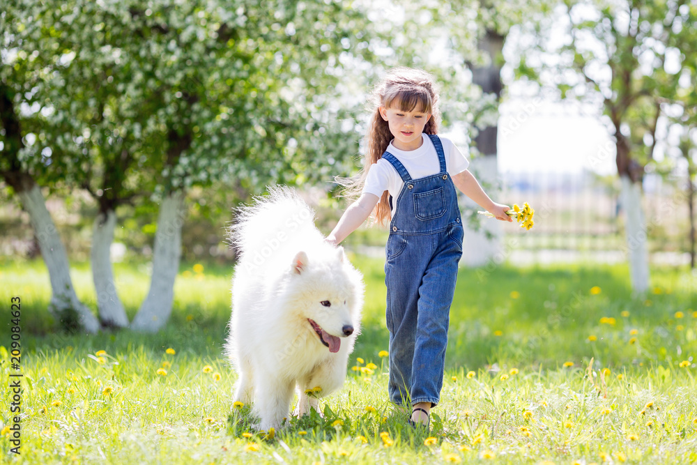 Little girl with a big white dog in the park. A beautiful 5 year old girl in jeans hugs her favorite dog during a summer walk. Little girl with a big white dog in the park. A beautiful 5 year old girl in jeans hugs her favorite dog during a summer walk.