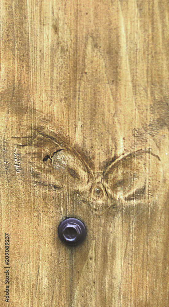Board with a bough in the form of a cheerful erysipelas similar to a panda. Board with a bough in the form of a cheerful erysipelas similar to a panda.