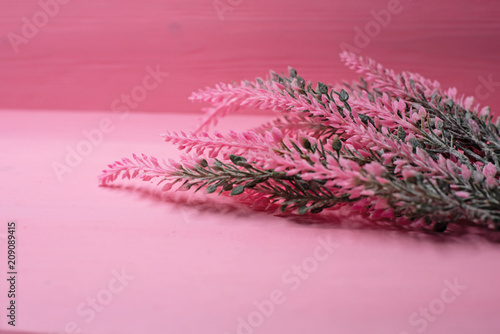 in selective focus of dried flower put at the right side,on pink pastel timber board