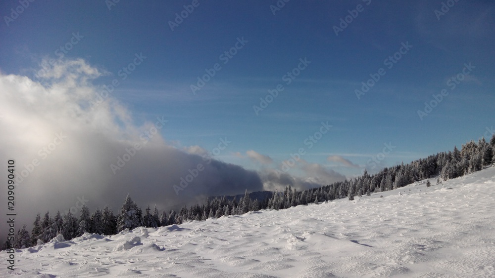 Mount Hoverla Ukrainian