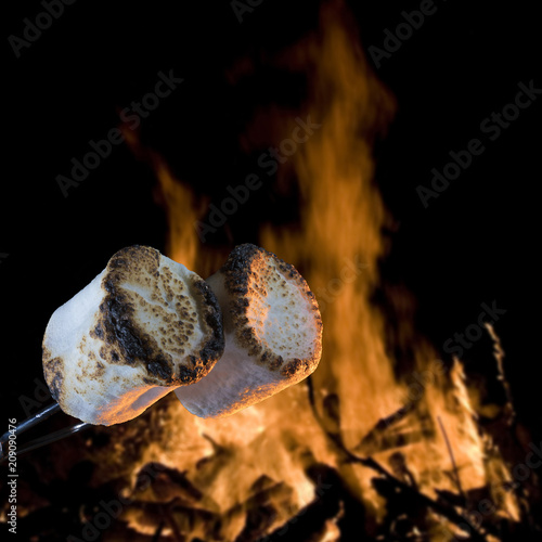 Warm fire and cooked marshmallows © Guy Sagi