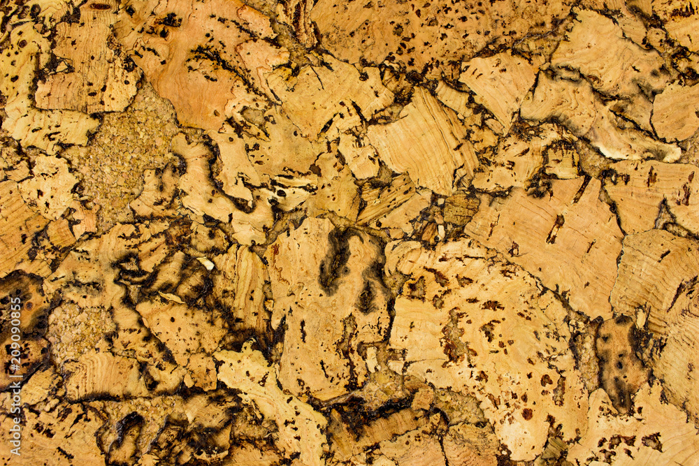 Natural cork background Natural cork background