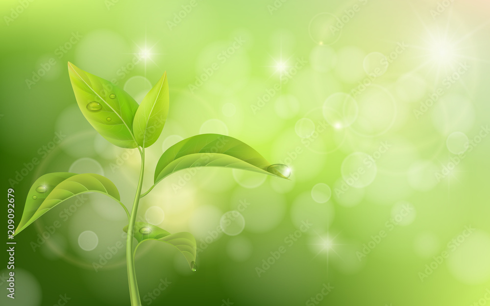 Growing sprout on green background with effect bokeh and glare. Growing sprout on green background with effect bokeh and glare.
