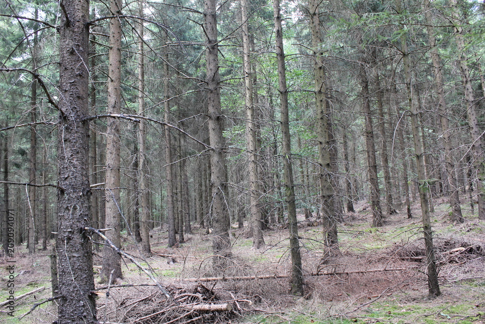 Weiherwiesen bei Tauchenweiler/Aalen-Essingen Weiherwiesen bei Tauchenweiler/Aalen-Essingen