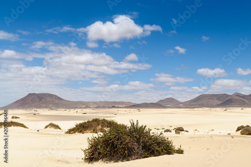 Fuerteventura - Duna de Corralejo