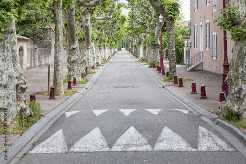 Platanenallee in der Ortschaft Viviers, Ardeche, Frankreich photo