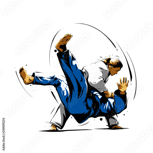 judo action 7 photo