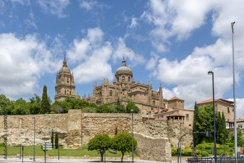 Torres de la catedral de  Salamanca desde la muralla