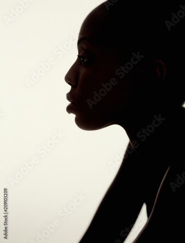 Model Beauty Stylish Makeup Portrait