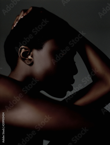 Model Beauty Stylish Makeup Portrait