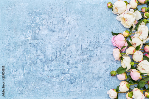 White peonies border on light blue background. Holiday background  copy space  top view