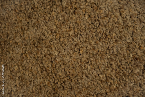 carpet close up texture