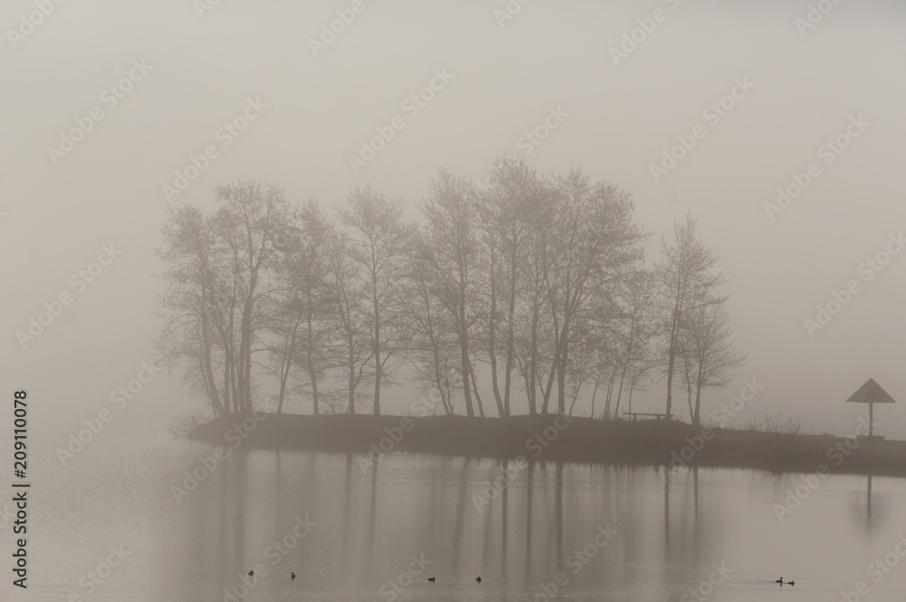 Fototapeta premium fog