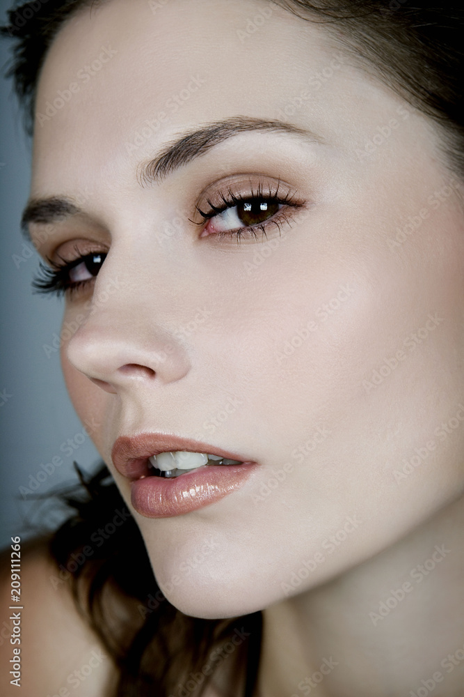 Model Beauty Stylish Makeup Portrait Model Beauty Stylish Makeup Portrait