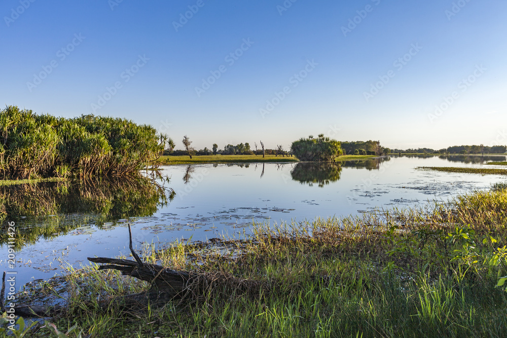 Peaceful landscape at sunrise in White water Billabong, Kakadu National Park, Northern Territory, Australia