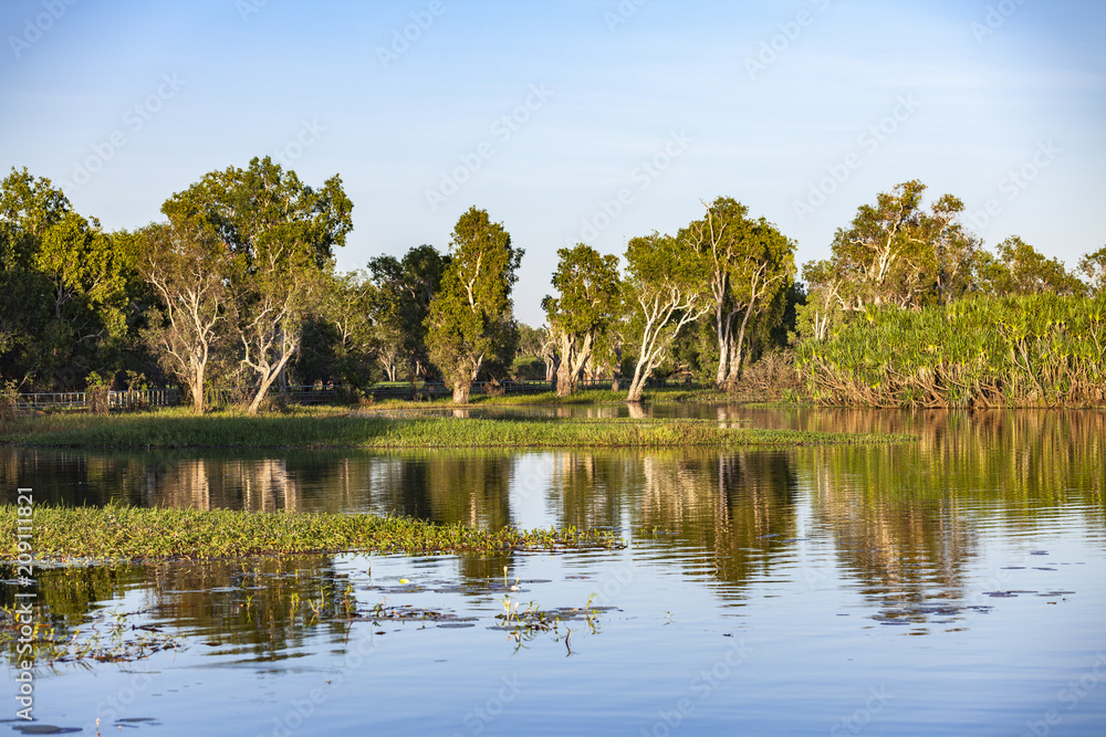 Peaceful landscape at sunrise in White water Billabong, Kakadu National Park, Northern Territory, Australia