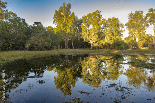 Peaceful landscape at sunrise in White water Billabong, Kakadu National Park, Northern Territory, Australia