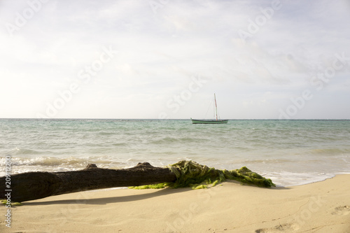 beach shore in costa rica, boat sailing in the caribbean waters © carles