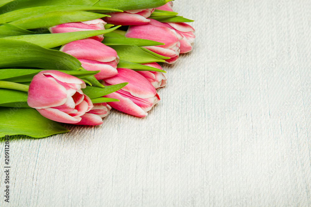 Pink tulip bouquet on light background, copy space Pink tulip bouquet on light background, copy space