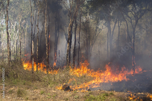 Bushfire in the outback of Kakadu National Park, Northern Territory, Australia