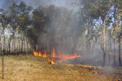 Bushfire in the outback of Kakadu National Park, Northern Territory, Australia