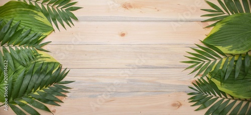 Palma leafs on light wood background with copy space