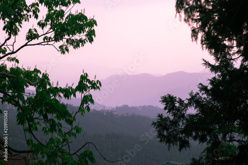 Purple mountains in the distance shot through the silhouette of trees in shimla. Perfect picture for a vacation visit photo