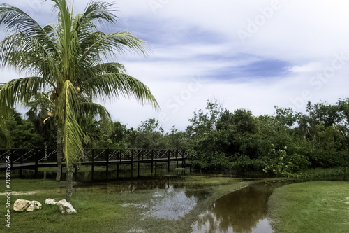 Cuban swamp - Peninsula de Zapata National Park / Zapata Swamp, Cuba © Marcin