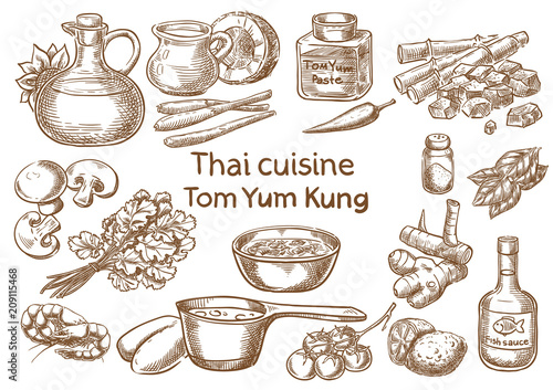 Thai cuisine. Tom yum kung  ingredients vector sketch.
