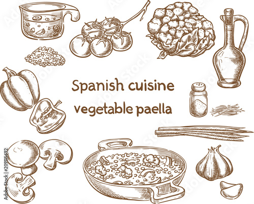 Spanish cuisine. Vegetable paella ingredients vector sketch.