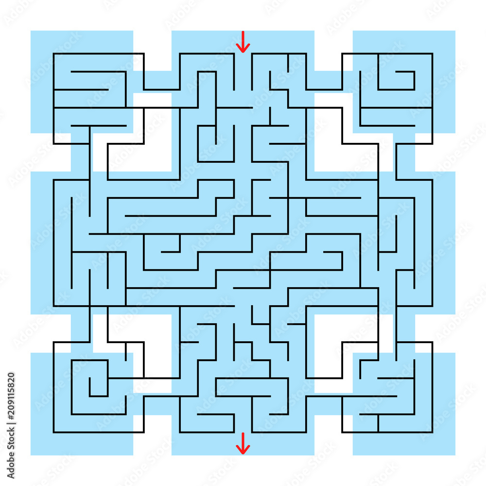 Colorful square fantastic labyrinth with an input and an exit. Simple flat vector illustration isolated on white background.