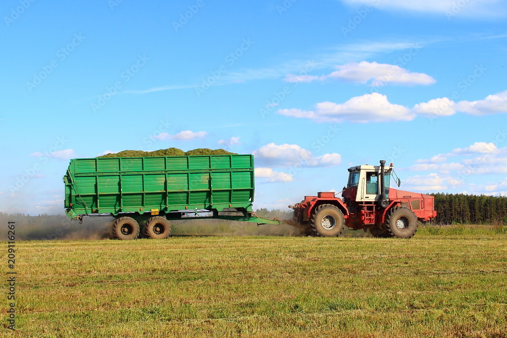 Obraz premium Agriculture, harvesting - new red tractor with green trailer carries silo on green field in summer afternoon on blue clear sky background with white clouds