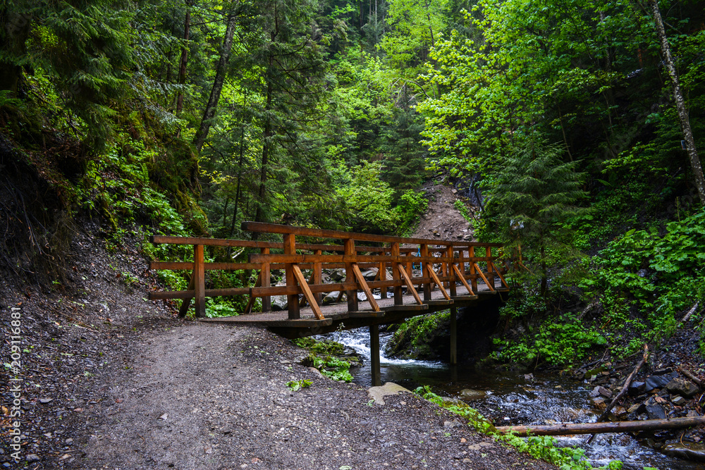 Wooden bridge over a shallow mountain river, Carpathian Mountains, Ukraine. Wooden bridge over a shallow mountain river, Carpathian Mountains, Ukraine.