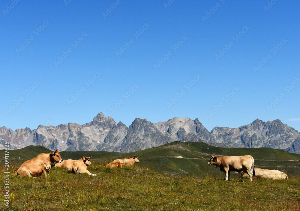 Fototapeta premium paysage de montagne avec animaux