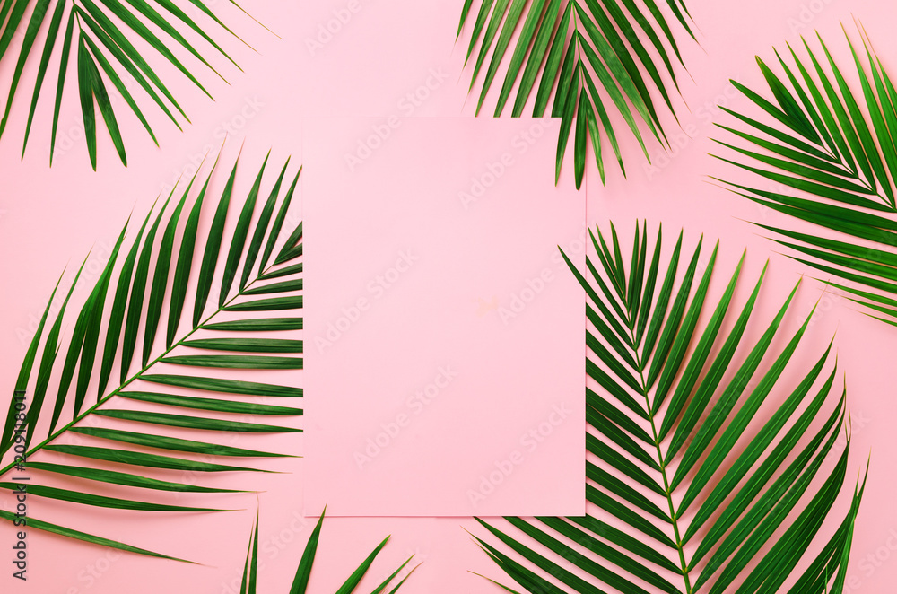 Tropical palm leaves on pastel pink background with paper card note. Minimal summer concept. Creative layout. Top view, flat lay. Green leaf on punchy pastel paper