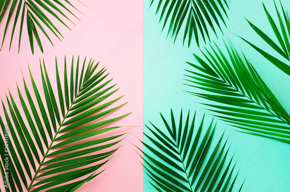 Obraz premium Styled summer concept. Tropical palm leaves on pink and blue background. Minimal nature. Creative flat lay with copy space. Top view