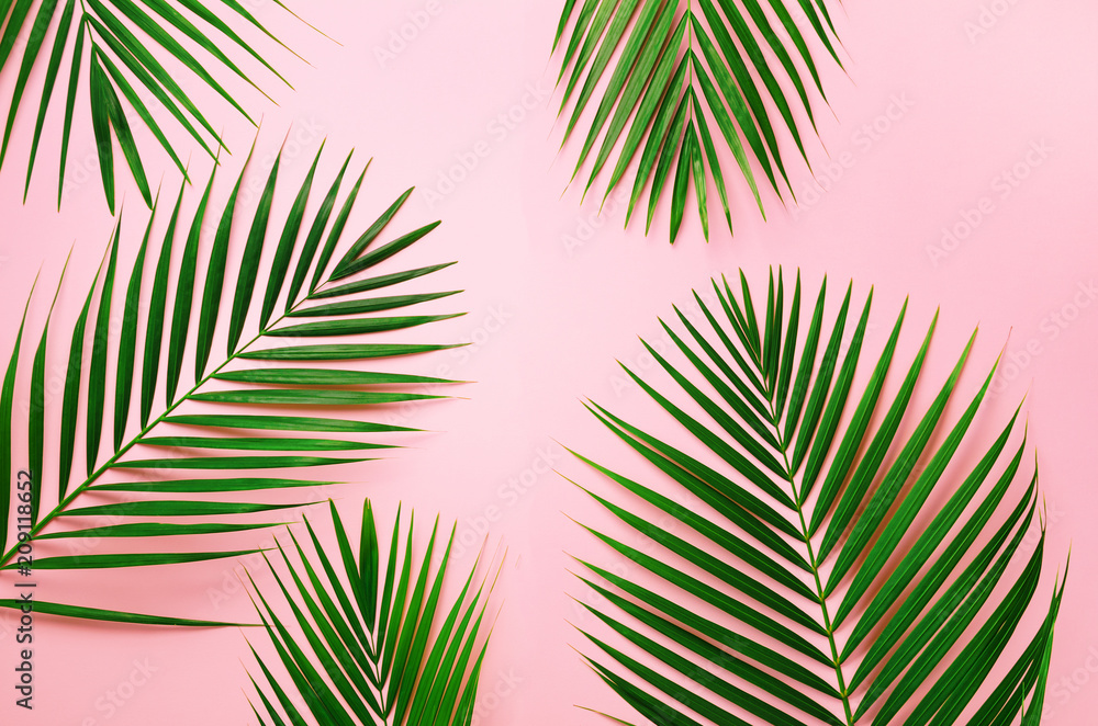 Tropical palm leaves on pastel pink background. Minimal summer concept. Creative flat lay with copy space. Top view green leaf on punchy pastel paper