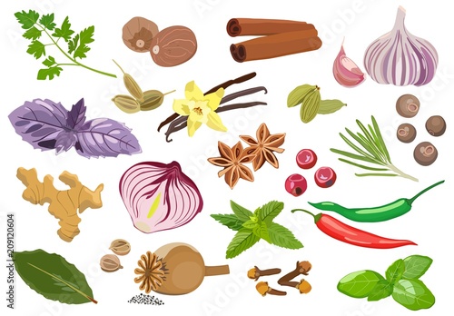 Set of spices and seasonings on light background. Vector illustration