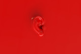 An ear as background in red lacquer look - 3D Rendering