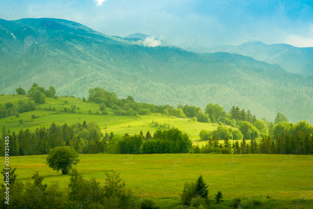 green mountain meadow with mountain range in the background