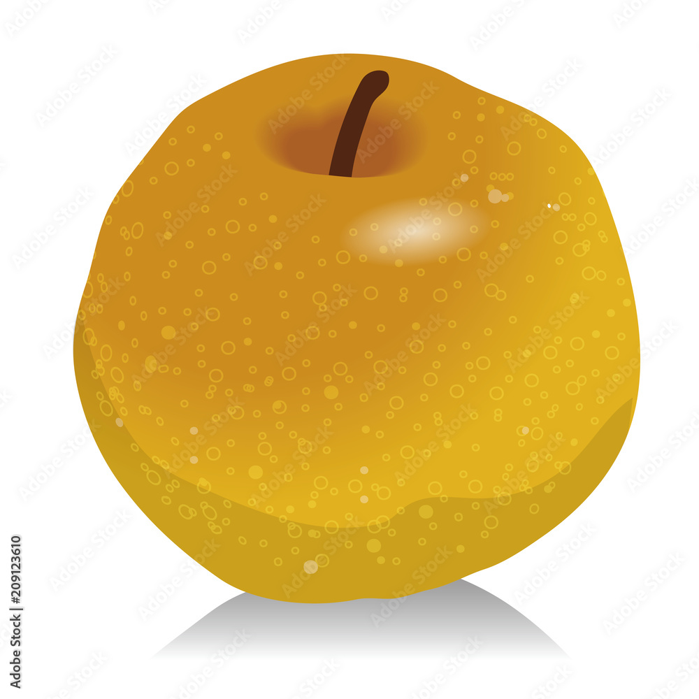 梨のイラスト 果物のイラスト 秋の味覚 ベクターデータ Stock ベクター Adobe Stock